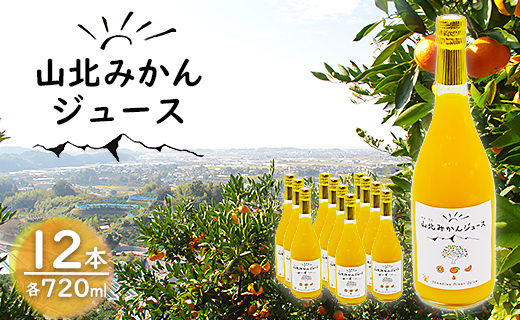 山北みかんジュース720ml12本 - 果汁100％ 高知県産 ブランドみかん 温州みかん ストレートジュース 果物 フルーツ 柑橘 オレンジ yk-0012