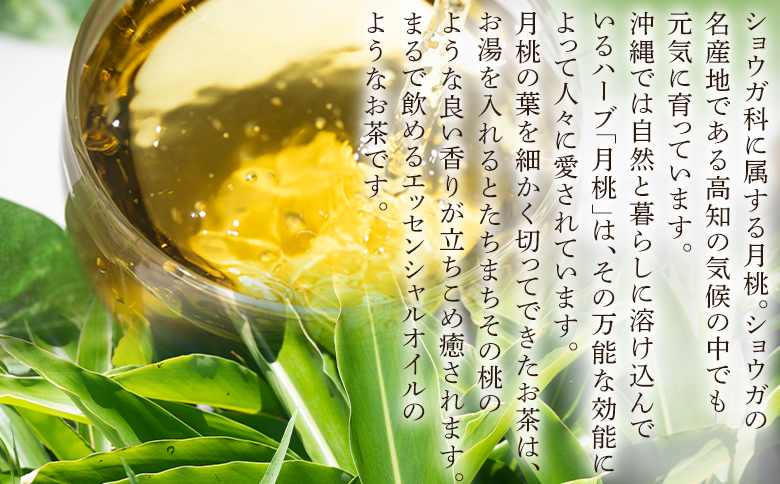 ææ¡ãã¬ã³ãããŒããã£ãŒ