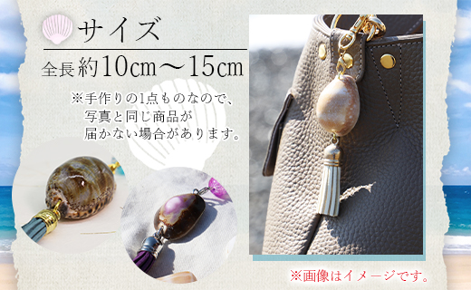 ã·ã§ã«ã¯ã©ãã ããã°ãã£ãŒã 2å Xsk-0005