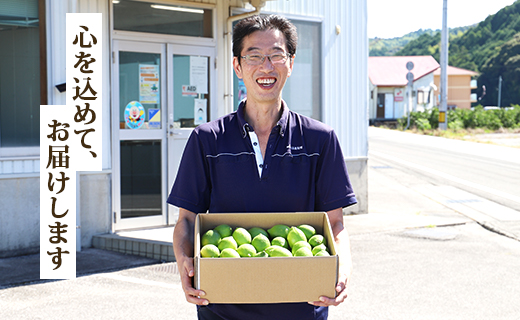 先行予約受付！【数量限定】高知県産 山北温室グリーンレモン 約5kg（S〜Lサイズ）- 果物 くだもの フルーツ 柑橘 れもん 檸檬 令和7年度発送 2025年 レモン酎ハイ お酒 お菓子 料理 産地直送 送料無料 のし対応可 高知県 香南市 ku-0035