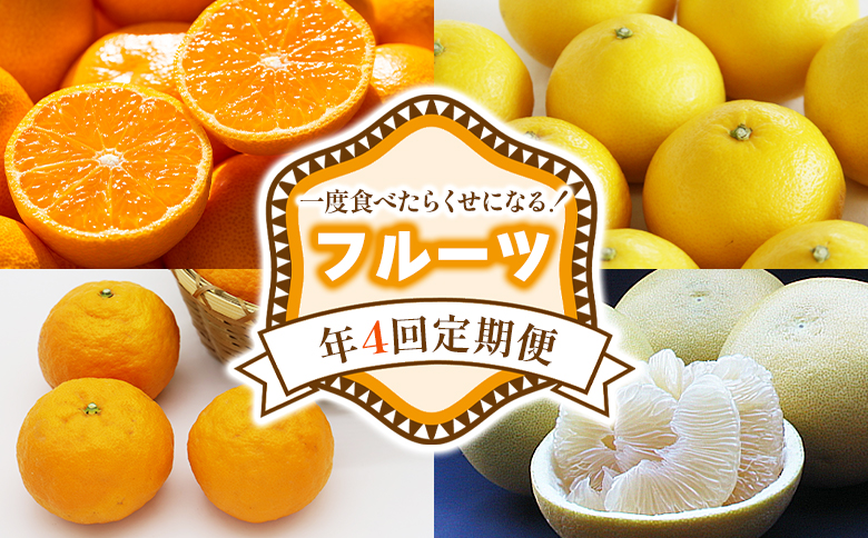 【定期便】一度食べたらくせになる！ フルーツ 年4回定期便 - 4回配送 旬 果物 くだもの フルーツ かんきつ 蜜柑 みかん ミカン こなつ 小夏 なつみ 水晶文旦 ぶんたん ブンタン 露地みかん 山北みかん 高知県 香南市 常温 Wku-0045