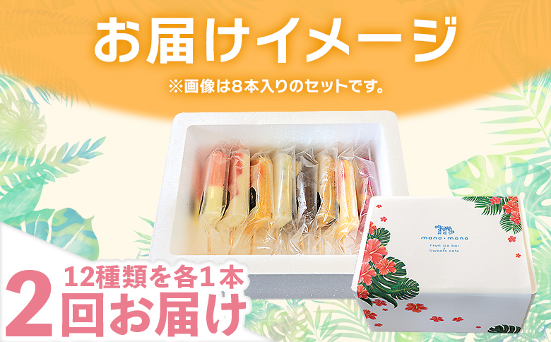 【２回定期便】手作りアイスキャンディー １２本セット - 氷菓 果物 フルーツ アイスキャンディー 冷たい つめたい 詰め合わせ お楽しみ 食べ比べ おやつ デザート スイーツ ギフト お礼 御礼 贈り物 贈物 のし対応可 ヤ・シィ 高知県 香南市 冷凍 Wys-0017