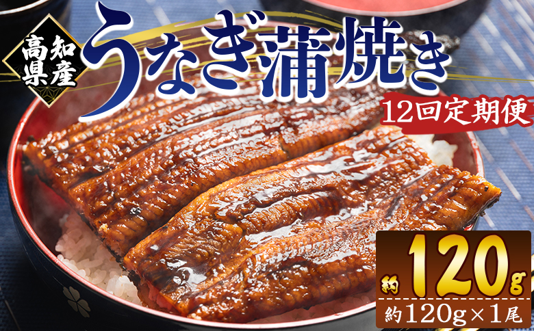 【１２回定期便】高知県産養殖うなぎ蒲焼き 100～120g 1尾 うなぎ 魚介 国産 海鮮 魚 かばやき 鰻 ウナギ 惣菜 おかず お手軽 加工品 加工食品 冷凍 Wfb-0036