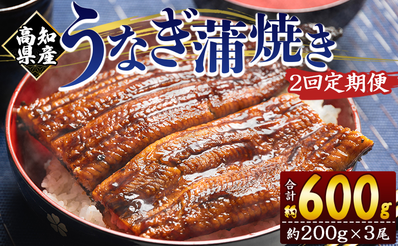 定期便 うなぎ 蒲焼き 約200g 3尾 2回 高知県産 養殖 魚介 国産 海鮮 魚 かばやき 鰻 ウナギ 惣菜 おかず お手軽 加工品 加工食品 冷凍 Wfb-0053