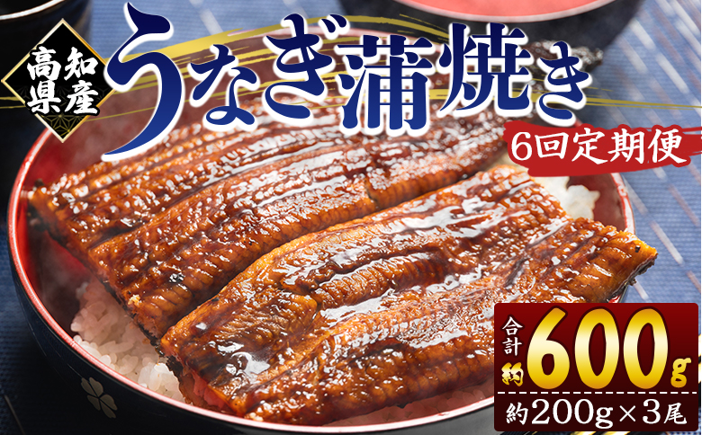 定期便 うなぎ 蒲焼き 約200g 3尾 6回 高知県産 養殖 魚介 国産 海鮮 魚 かばやき 鰻 ウナギ 惣菜 おかず お手軽 加工品 加工食品 冷凍 Wfb-0055