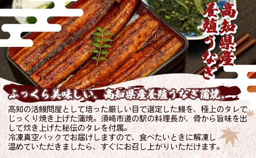 高知県産養殖うなぎ蒲焼 5尾(合計500g以上) - タレ付き たれ 土用の丑の日 鰻 ウナギ かばやき 蒲焼き うな丼 うな重 ギフト お中元 御中元 父の日 お礼 御礼 感謝 プレゼント 送料無料 須崎市道の駅 高知県 香南市 ss-0040