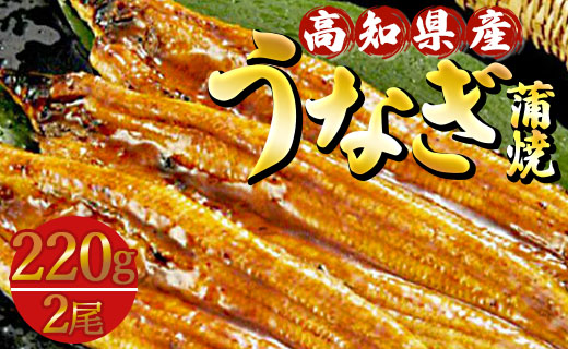 高知県産養殖うなぎ蒲焼き 2尾(合計約440g) - タレ付き たれ 土用の丑の日 鰻 ウナギ かばやき 蒲焼き うな丼 うな重 ギフト お中元 御中元 父の日 お礼 御礼 感謝 贈答 贈り物 送料無料 須崎市道の駅 高知県 香南市 ss-0043