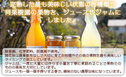 みかん農家の手搾り自家製ジュース(300ml×2種)と季節の自家製ジャム(2種)のおまかせセット - 詰め合わせ お楽しみ 飲料 濃縮2倍 柑橘 フルーツ 果物 ギフト 贈答用 常温 eh-0034