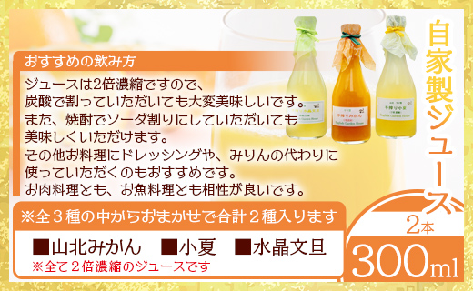 みかん農家の手搾り自家製ジュース(300ml×2種)と季節の自家製ジャム(2種)のおまかせセット - 詰め合わせ お楽しみ 飲料 濃縮2倍 柑橘 フルーツ 果物 ギフト 贈答用 常温 eh-0034