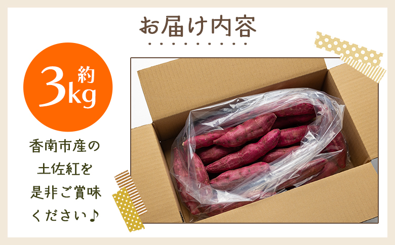 さつまいも（土佐紅）3kg - サツマイモ さつま芋 野菜 焼き芋 やきいも 焼いも おやつ スイーツ スイートポテト バター焼き アレンジ 料理 国産 高知県 香南市 yr-0043