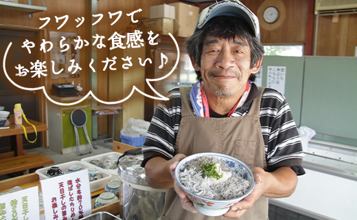 土佐名産 釜揚げしらす 合計1kg（約250g×4）- シラス じゃこ ちりめん ご飯のお供 食事 丼 おつまみ 酒の肴 魚 ギフト 贈答 贈り物 送料無料 高知県 香南市 冷凍 tk-0012