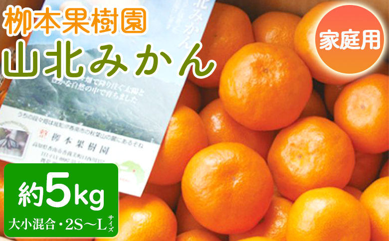 家庭用 柳本果樹園の山北みかん 5kg 大小混合(2S～L) - 果物 フルーツ 柑橘類 温州みかん ミカン 蜜柑 甘い おいしい 訳あり キズ 大小混合 送料無料 期間限定 季節限定 数量限定 高知県 香南市 yg-0013