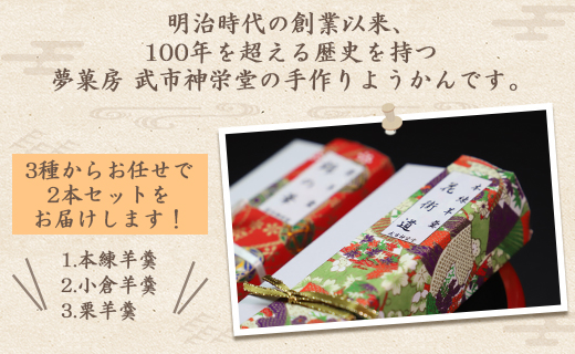 合同会社武市神栄堂の手作りようかん2本 - 送料無料 のし 熨斗 プレゼント 贈り物 お菓子 おかし おやつ おまかせ 本練 小倉 栗 おぐら くり ギフト 手作り 羊羹 父の日 和スイーツ てづくり 贈答品 2種類 お任せ おたのしみ お楽しみ 詰め合わせ 詰合せ 寒天 栗甘露煮 高知県 香南市 常温 yd-0011