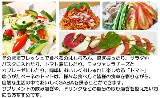 【先行予約受付】機能性表示食品 ミニトマト ゆうがたベーネ 約2kg（1kg×2箱）- ミニトマト プチトマト フルーツトマト ギフト のし対応 高糖度 お歳暮 御歳暮 贈答用 贈り物 is-0014