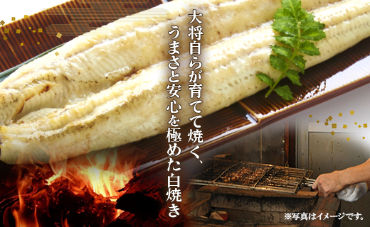 【2回定期便】うなぎ白焼き120g 1尾(無頭) うなぎ 魚介 国産 海鮮 魚 かばやき 鰻 ウナギ 惣菜 おかず お手軽 加工品 加工食品 冷凍 Wun-0031