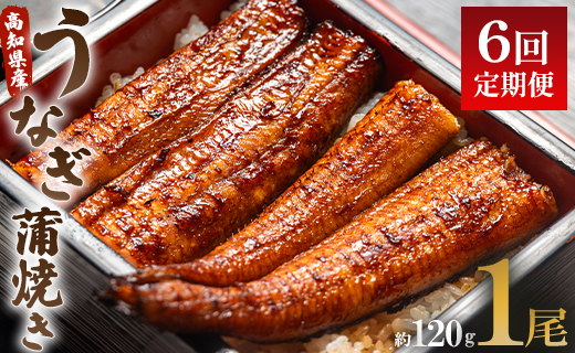 【6回定期便】うなぎ蒲焼き120g 1尾(無頭) 魚介 国産 海鮮 魚 かばやき 鰻 ウナギ 惣菜 おかず お手軽 加工品 加工食品 冷凍 Wun-0021