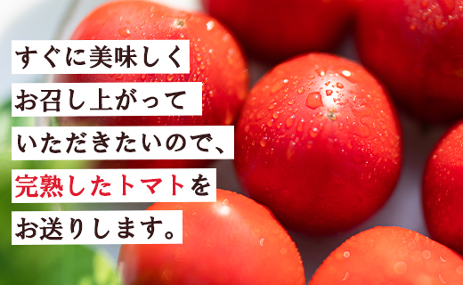 ãå
è¡åä»ãå®¶åºçš éèãœã ãªãšãè²ãŠã ãã«ãŒãããã 500gÃ6è¢ åèš3kg - éè ãšãŸãš ç£å°çŽé æç ã¢ã¬ã³ãž ãµã©ã å®ç çã ããŸã ãã¬ãã·ã¥ ãã£ã±ã é
žå³ ããã®æµ å°åã ãããã åœç£ é«ç¥ç éŠååž mj-0022