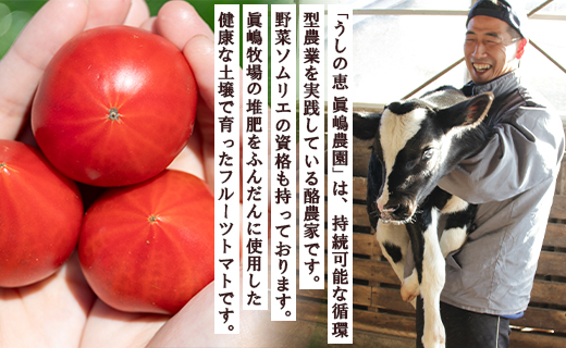 家庭用 野菜ソムリエが育てた フルーツトマト 500g×3袋 合計1.5kg - 野菜 とまと 産地直送 料理 アレンジ サラダ 完熟 甘い あまい フレッシュ さっぱり 酸味 うしの恵 小分け おいしい 国産 高知県 香南市 mj-0021