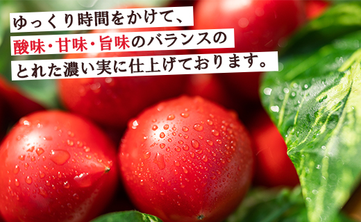 ãå
è¡åä»ãå®¶åºçš éèãœã ãªãšãè²ãŠã ãã«ãŒãããã 500gÃ6è¢ åèš3kg - éè ãšãŸãš ç£å°çŽé æç ã¢ã¬ã³ãž ãµã©ã å®ç çã ããŸã ãã¬ãã·ã¥ ãã£ã±ã é
žå³ ããã®æµ å°åã ãããã åœç£ é«ç¥ç éŠååž mj-0022