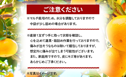 【数量限定】家庭用 訳あり 早生みかん 約10kg - 送料無料 フルーツ くだもの 果物 わせ 訳アリ 温州みかん ミカン 柑橘 甘い おいしい ご自宅用 旬 季節限定 かなや農園 合同会社Benifare 国産 特産品 10キロ 柑橘類 柑橘 系 オレンジ うんしゅう みずみずしい フレッシュ ジューシー 果汁 さわやか 爽やか わせ 早生 おとりよせ お取り寄せ 皮 傷 キズ 箱 ジャム ジュース マーマレード 酸味 糖度 おいしい 美味しい やみつき 濃厚 のうこう 高知県 香南市 be-0057