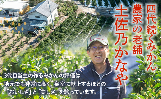 【数量限定】家庭用 訳あり 早生みかん 約10kg - 送料無料 フルーツ くだもの 果物 わせ 訳アリ 温州みかん ミカン 柑橘 甘い おいしい ご自宅用 旬 季節限定 かなや農園 合同会社Benifare 国産 特産品 10キロ 柑橘類 柑橘 系 オレンジ うんしゅう みずみずしい フレッシュ ジューシー 果汁 さわやか 爽やか わせ 早生 おとりよせ お取り寄せ 皮 傷 キズ 箱 ジャム ジュース マーマレード 酸味 糖度 おいしい 美味しい やみつき 濃厚 のうこう 高知県 香南市 be-0057