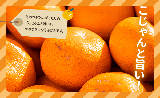 【数量限定】家庭用 訳あり 早生みかん 約10kg - 送料無料 フルーツ くだもの 果物 わせ 訳アリ 温州みかん ミカン 柑橘 甘い おいしい ご自宅用 旬 季節限定 かなや農園 合同会社Benifare 国産 特産品 10キロ 柑橘類 柑橘 系 オレンジ うんしゅう みずみずしい フレッシュ ジューシー 果汁 さわやか 爽やか わせ 早生 おとりよせ お取り寄せ 皮 傷 キズ 箱 ジャム ジュース マーマレード 酸味 糖度 おいしい 美味しい やみつき 濃厚 のうこう 高知県 香南市 be-0057