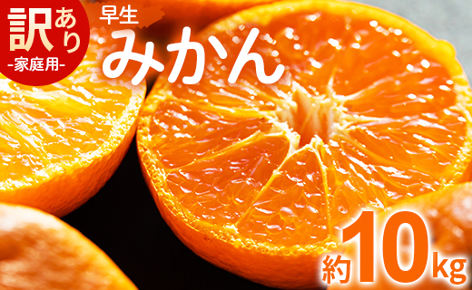 【数量限定】家庭用 訳あり 早生みかん 約10kg - 送料無料 フルーツ くだもの 果物 わせ 訳アリ 温州みかん ミカン 柑橘 甘い おいしい ご自宅用 旬 季節限定 かなや農園 合同会社Benifare 国産 特産品 10キロ 柑橘類 柑橘 系 オレンジ うんしゅう みずみずしい フレッシュ ジューシー 果汁 さわやか 爽やか わせ 早生 おとりよせ お取り寄せ 皮 傷 キズ 箱 ジャム ジュース マーマレード 酸味 糖度 おいしい 美味しい やみつき 濃厚 のうこう 高知県 香南市 be-0057