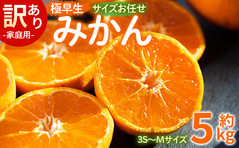 【2026年10月より順次配送】訳あり(家庭用) サイズお任せ 極早生みかん 5kg 3S〜Mサイズ - 訳アリ フルーツ 果物 くだもの 果実 甘い あまい 酸味 蜜柑 ミカン 柑橘 ご自宅用 旬 季節 かなや農園 合同会社Benifare 国産 特産品 高知県 香南市 常温 be-0118