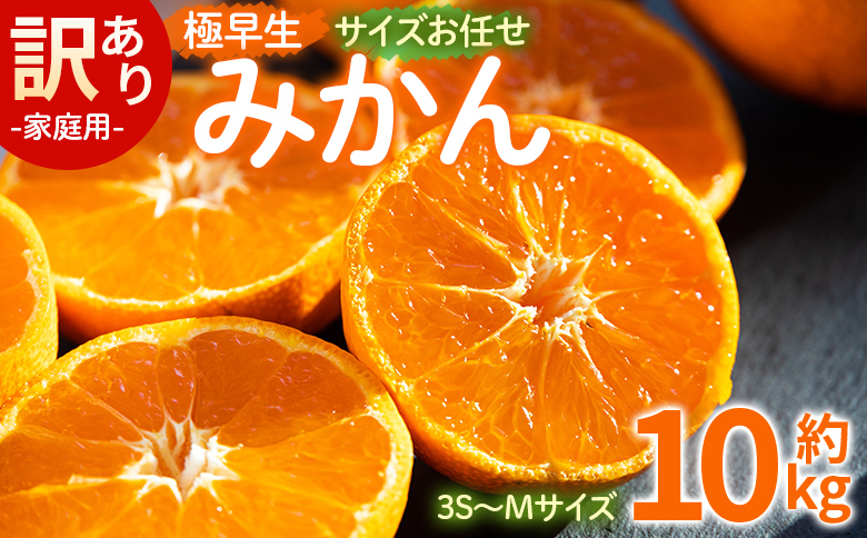 【2026年10月より順次配送】訳あり(家庭用) サイズお任せ 極早生みかん 10kg 3S〜Mサイズ - 訳アリ フルーツ 果物 くだもの 果実 甘い あまい 酸味 蜜柑 ミカン 柑橘 ご自宅用 旬 季節 かなや農園 合同会社Benifare 国産 特産品 高知県 香南市 常温 be-0121
