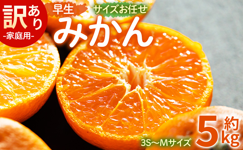 【2026年11月より順次配送】訳あり(家庭用) サイズお任せ 早生みかん 5kg 3S〜Mサイズ - 訳アリ フルーツ 果物 くだもの 果実 甘い あまい 酸味 蜜柑 ミカン 柑橘 ご自宅用 旬 季節 かなや農園 合同会社Benifare 国産 特産品 高知県 香南市 常温 be-0119