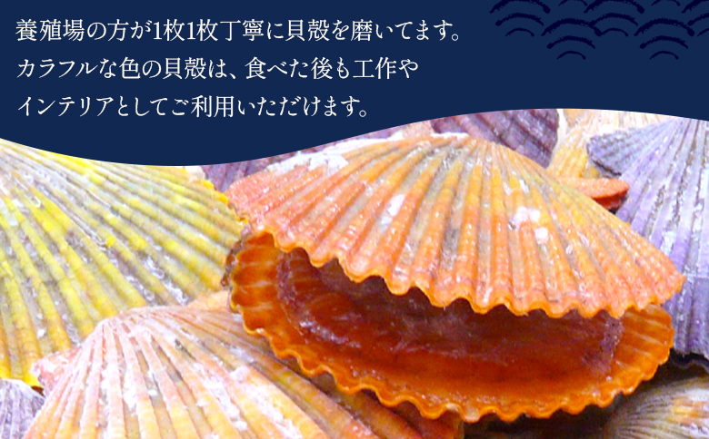 レンジでチン！する長太郎貝 10枚入 約800g - ヒオウギ貝 ひおうぎ貝 魚介類 海鮮 海産物 個包装 貝柱 酒蒸し バーベキュー BBQ アウトドア キャンプ 興洋フリーズ株式会社 高知県 香南市 冷凍 kf-0001