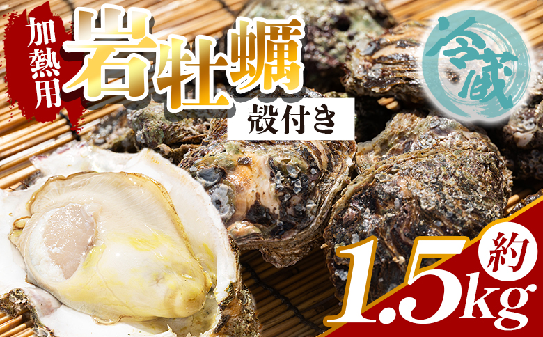 ＜先行予約＞岩牡蠣(殻付き) 1.5kg 冷蔵 加熱用 ＜出荷期間：2026年5月～10月＞ 国産 カキ かき 牡蠣 魚介 海鮮 貝類 殻つき 天然 産地直送 肉厚 フライ 焼き牡蠣 海の幸 えび蔵 高知県 香南市 冷蔵 eb-0033