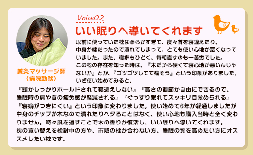 まくら 龍馬の夢枕 1個(枕カバー 緑色1枚付き) fj-0004