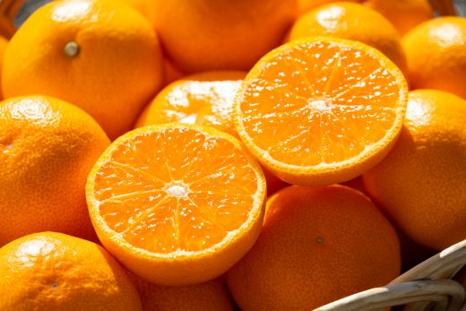 ã什å8幎10æäžæ¬çºééå§ãã¿ãã 5kg sãµã€ãº å°ç ãå
è¡äºçŽã ç³åºŠ å°ç倧ç (é²å°æ œå¹ 2SãLãµã€ãº) äžåºŠé£ã¹ããããã«ãªãïŒé«ç¥çç£ å±±åã¿ãã çã ãã«ã³è·äºº - æž©å·ã¿ãã æç© ãã«ãŒã æž©å·ã¿ãã ãã«ã³ èæ ææ© çã ãããã ãåãå¯ã ku-0053