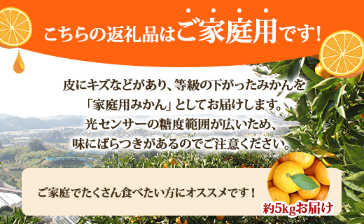 【令和8年10月下旬発送開始】みかん 5kg 山北みかん (家庭用・露地) 果物 フルーツ 温州みかん ミカン 柑橘 おいしい 甘い 送料無料 高知県 香南市 1万円以上 10000円以上 常温 ku-0054