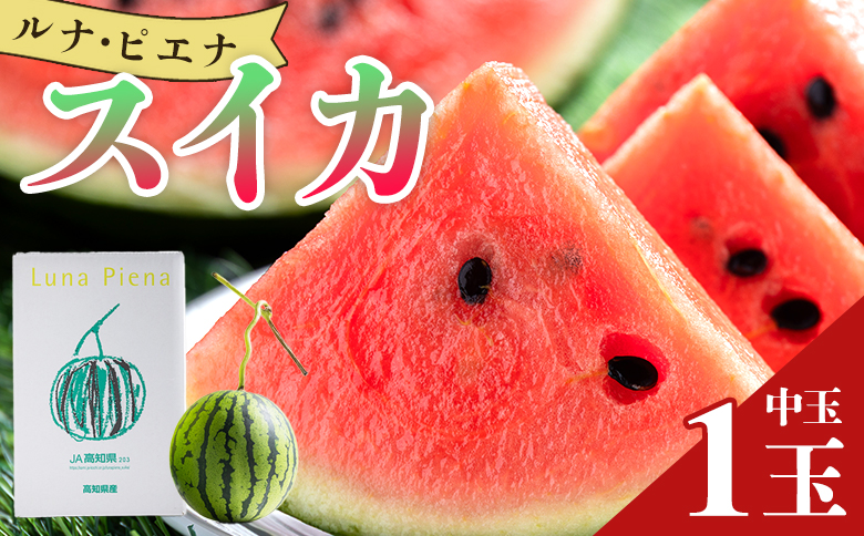 【ブランドスイカ】ルナ・ピエナスイカ（中玉） 1玉 【発送開始】 〈ざわつく！金曜日〉に取り上げられました！ yu-0014