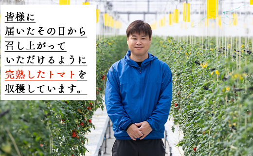 【2026年12月以降順次配送分】高糖度＆高機能性 フルーツトマト 1kg 先行予約受付 野菜 kr-0083