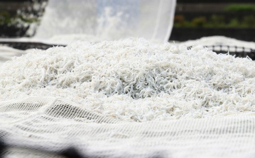 【冷蔵】釜出ししらす(ちりめん) 約1kg - 国産 ちりめん しらす シラス 稚魚 魚介 魚 海産物 釜茹で ドロメ サラダ 和え物 アレンジ 料理 ご飯のお供 三浦屋海産 高知県 香南市 冷蔵 mu-0010