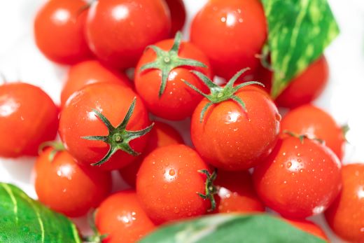 【2026年12月以降順次配送分】高糖度＆高機能性 フルーツトマト 1kg 先行予約受付 野菜 kr-0083