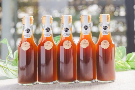 【7日程度で発送】ジンジャーシロップ 200ml×5本 生姜 やすらぎ市 スピード 熱中症対策 yr-0048