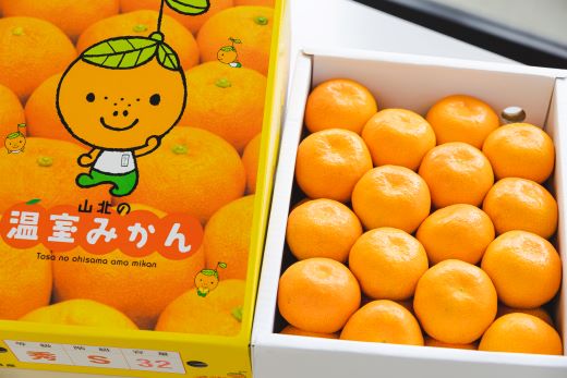 【2026年発送分】山北温室みかん 約1.2kg 秀品 ku-0050