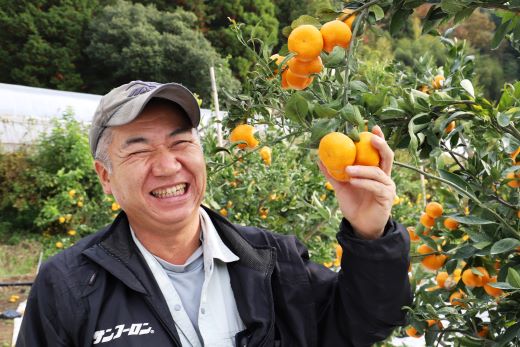 山のてっぺん 間城農園 みかん (家庭用) 約5kg - 果物 くだもの フルーツ 柑橘 温州みかん ミカン 送料無料 数量限定 期間限定 高知県 香南市【常温】 ms-0084