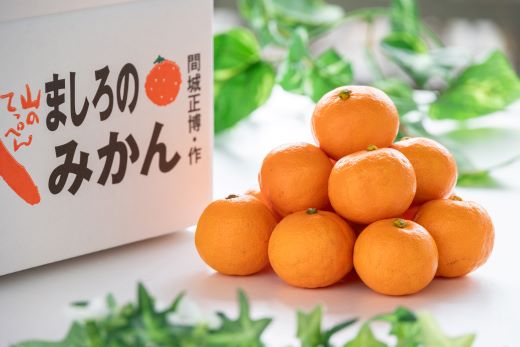 山のてっぺん 間城農園 みかん (家庭用) 約5kg - 果物 くだもの フルーツ 柑橘 温州みかん ミカン 送料無料 数量限定 期間限定 高知県 香南市【常温】 ms-0084