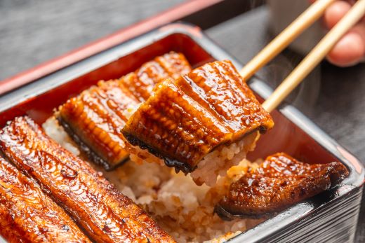 ã7æ¥çšåºŠã§çºéãããªãè²çŒã 1å°Ÿ(çŽ120g)(ç¡é ) - éæç¡æ é°» ãŠãã® ã¹ã¿ãã æ©ã飯 ãã€ãŸã¿ 䞌ã¶ã é ããªãå±ããæ¬ ã®ãã ãåãå¯ãã°ã«ã¡ ãã¬ãŒã³ã æµ·ã®å¹ž ã®ãã ããªãå±ããæ¬ é«ç¥ç éŠååž å·å ã¹ããŒã un-0013