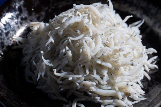 ãå·èµãéåºãããã(ã¡ããã) çŽ2kg - åœç£ ã¡ããã ããã ã·ã©ã¹ çšé éä» é æµ·ç£ç© éè¹ã§ ããã¡ ãµã©ã åãç© ã¢ã¬ã³ãž æç ã飯ã®ãäŸ äžæµŠå±æµ·ç£ é«ç¥ç éŠååž å·èµ mu-0011