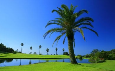 【ゴルフ＆宿泊プラン】KOCHI黒潮カントリークラブ(平日)＆リゾートホテル海辺の果樹園 1泊2食付（スタンダードタイプ） hj-0003