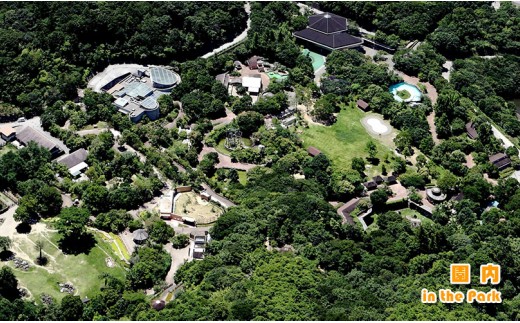 のいち動物公園の年間入園券引換券 - 送料無料 大人用 1枚 1人 動物園 入場券 チケット 自然好き ギフト贈答用 贈り物 プレゼント 動物大好き 観光 遊び あそび いやし 癒しスポット 動物園好き 年パス 年間パスポート 旅行 旅 トラベル 施設 思い出 休日 1年間 アニマル 高知県 香南市 常温 ni-0003