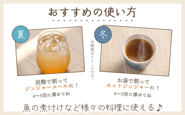 【7日程度で発送】ジンジャーシロップ 200ml×5本 生姜 やすらぎ市 スピード 熱中症対策 yr-0048