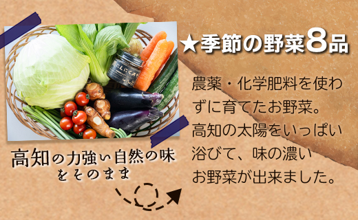 農薬不使用のお野菜8品と黒にんにく味噌のセット - やさい 8種類 ニンニク  みそ ミソ ご飯のお供 おかず 調味料 お任せ おまかせ お楽しみ おたのしみ 旬 季節品 国産 特産品 詰合せ 詰め合わせ 料理 サラダ 野菜炒め 高知県 香南市 pr-0012