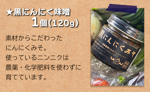 農薬不使用のお野菜8品と黒にんにく味噌のセット - やさい 8種類 ニンニク  みそ ミソ ご飯のお供 おかず 調味料 お任せ おまかせ お楽しみ おたのしみ 旬 季節品 国産 特産品 詰合せ 詰め合わせ 料理 サラダ 野菜炒め 高知県 香南市 pr-0012